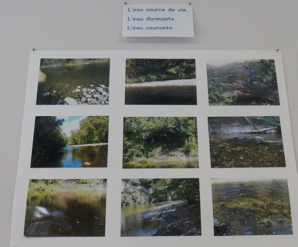 Sortie "Photos" au plan d'eau de Rumilly pour les élèves de CP à l'école Jeanne d'Arc